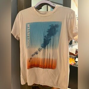 Boys Hollister Summer T-Shirt